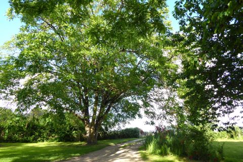 Villa i Faleyras, Gironde, Faleyras - € 650.000 | Ref: BVI84340 - foto 15
