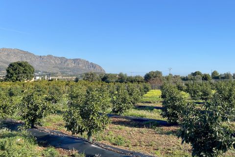 Villa i Benidoleig, Alicante, Benidoleig - € 1.650.000 | Ref: RS BENI - foto 4