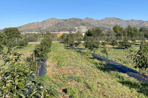 Villa i Benidoleig, Alicante, Benidoleig - € 1.650.000 | Ref: RS BENI - foto 5