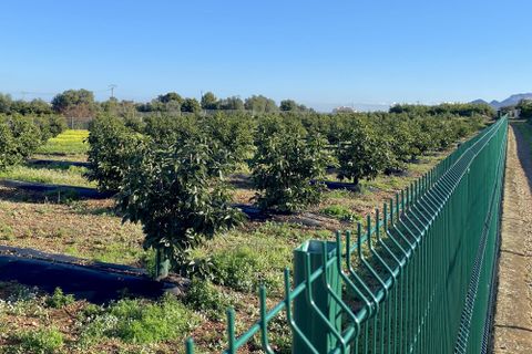 Villa i Benidoleig, Alicante, Benidoleig - € 1.650.000 | Ref: RS BENI - foto 6