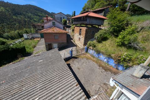 Villa in Salas, Asturias, Salas - € 78.000 | Ref: QPE00390/10606 - foto 37