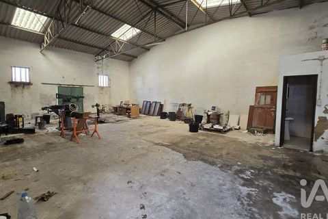Erhvervsejendom i Cadaval, Lisbon, Cadaval - € 285.000 | Ref: 819841 - foto 19