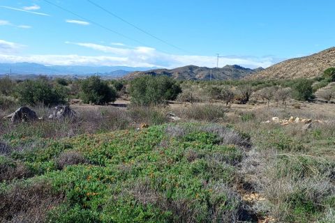 Terra a Urcal, Almeria, Urcal - € 74.000 | Ref: R22343 - foto 3