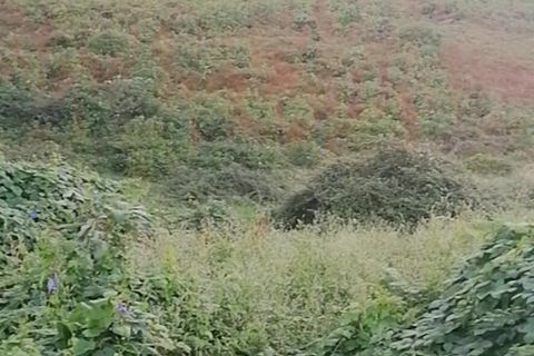 Helårsgrund i Horta, Faial, Horta - € 100.000 | Ref: 1156 - foto 1