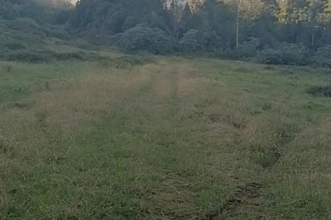 Helårsgrund i Horta, Faial, Horta - € 100.000 | Ref: 1156 - foto 3