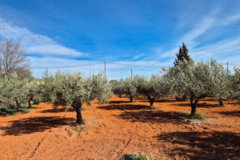 Villa a Ontinyent, Valencia, Ontinyent - € 280.000 | Ref: LOSDH3543 - foto 19