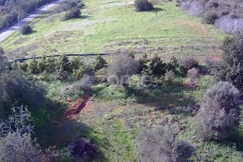 Helårsgrund i Silves, Faro, Silves - € 170.000 | Ref: ZMPT584938 - foto 12