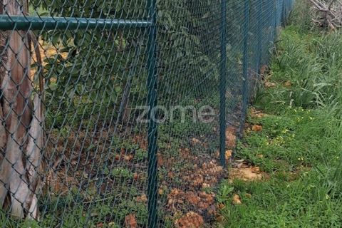 Helårsgrund i Silves, Faro, Silves - € 170.000 | Ref: ZMPT584938 - foto 16