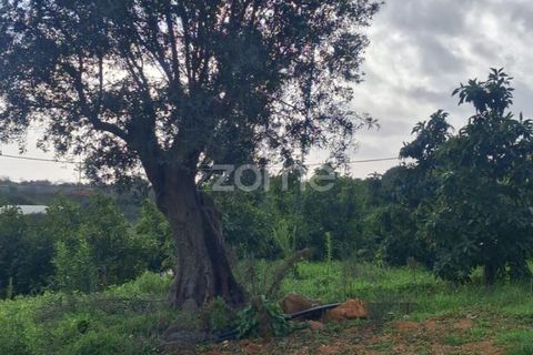 Helårsgrund i Silves, Faro, Silves - € 170.000 | Ref: ZMPT584938 - foto 17