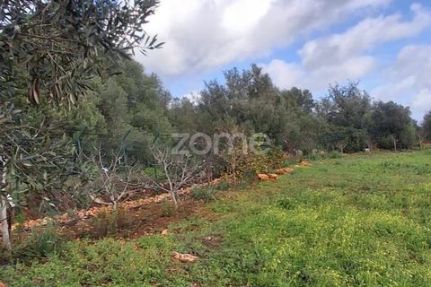 Helårsgrund i Silves, Faro, Silves - € 170.000 | Ref: ZMPT584938 - foto 18