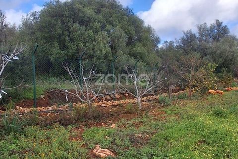 Helårsgrund i Silves, Faro, Silves - € 170.000 | Ref: ZMPT584938 - foto 19