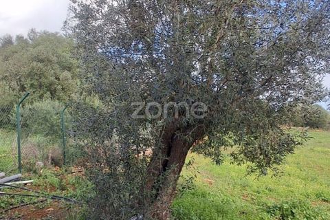 Helårsgrund i Silves, Faro, Silves - € 170.000 | Ref: ZMPT584938 - foto 20