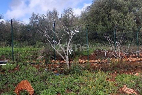 Helårsgrund i Silves, Faro, Silves - € 170.000 | Ref: ZMPT584938 - foto 22