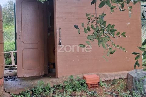 Helårsgrund i Silves, Faro, Silves - € 170.000 | Ref: ZMPT584938 - foto 25