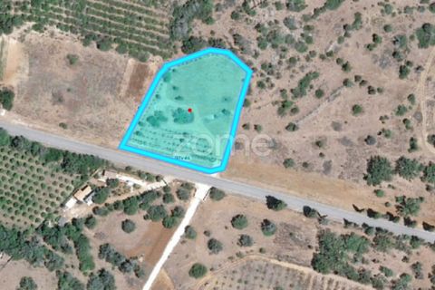 Helårsgrund i Silves, Faro, Silves - € 170.000 | Ref: ZMPT584938 - foto 30
