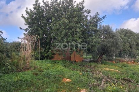 Helårsgrund i Silves, Faro, Silves - € 170.000 | Ref: ZMPT584938 - foto 5