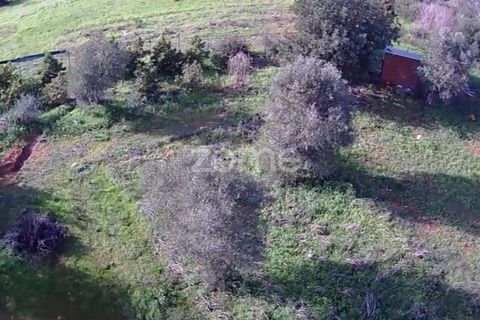Helårsgrund i Silves, Faro, Silves - € 170.000 | Ref: ZMPT584938 - foto 13