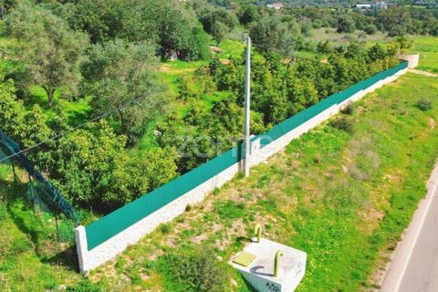 Helårsgrund i Silves, Faro, Silves - € 170.000 | Ref: ZMPT584938 - foto 3