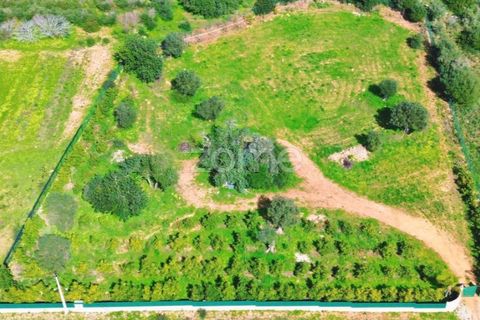 Helårsgrund i Silves, Faro, Silves - € 170.000 | Ref: ZMPT584938 - foto 8