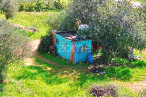 Helårsgrund i Silves, Faro, Silves - € 170.000 | Ref: ZMPT584938 - foto 10