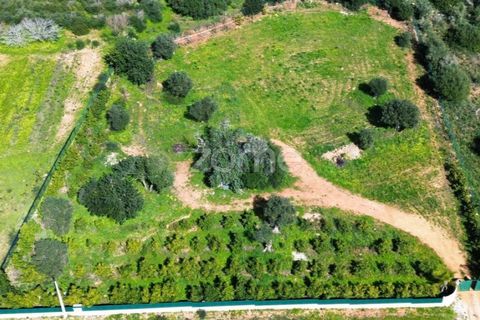 Helårsgrund i Silves, Faro, Silves - € 170.000 | Ref: ZMPT584938 - foto 1