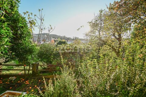 Villa a Valongo, Porto, Valongo - € 800.000 | Ref: ZMPT583351 - foto 20