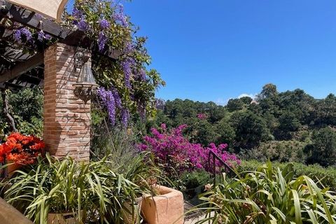 Villa a Estepona, Malaga, Estepona - € 1.400.000 | Ref: es5554959 - foto 3