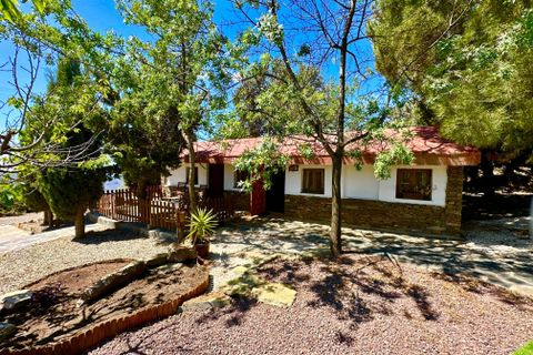 Erhvervsejendom i Granada, Granada, Granada - € 480.000 | Ref: 45134 - foto 16