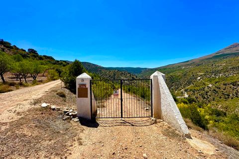 Villa i Albox, Almeria, Albox - € 269.000 | Ref: 44836 - foto 4