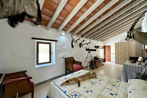 Villa i Albox, Almeria, Albox - € 269.000 | Ref: 44836 - foto 11