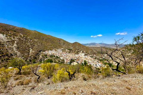 Villa i Albox, Almeria, Albox - € 269.000 | Ref: 44836 - foto 19