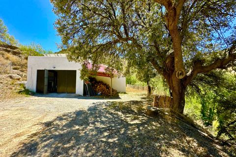 Villa i Albox, Almeria, Albox - € 269.000 | Ref: 44836 - foto 36