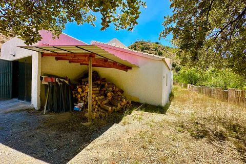 Villa i Albox, Almeria, Albox - € 269.000 | Ref: 44836 - foto 38