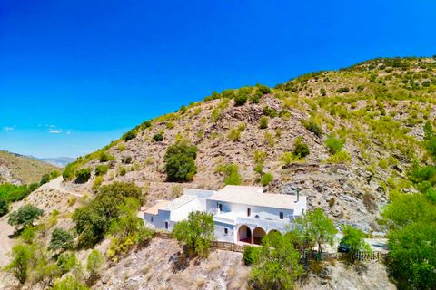 Villa i Albox, Almeria, Albox - € 269.000 | Ref: 44836 - foto 50