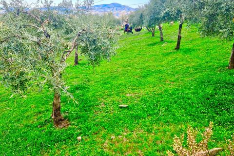 Villa i Berchules, Granada, Berchules - € 280.000 | Ref: 47209 - foto 17