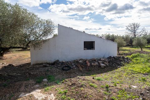 Finca i Roquetes, Tarragona, Roquetes - € 31.000 | Ref: 328 - foto 15