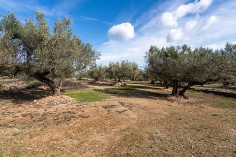 Finca i Roquetes, Tarragona, Roquetes - € 31.000 | Ref: 328 - foto 18