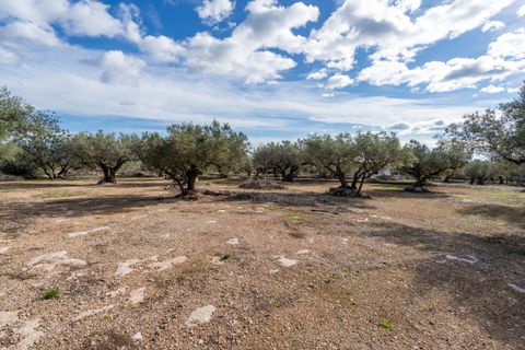 Finca i Roquetes, Tarragona, Roquetes - € 31.000 | Ref: 328 - foto 20