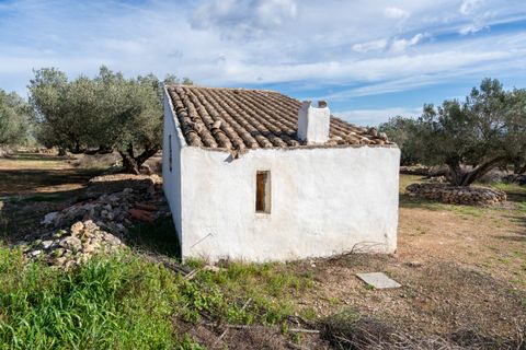 Finca i Roquetes, Tarragona, Roquetes - € 31.000 | Ref: 328 - foto 11