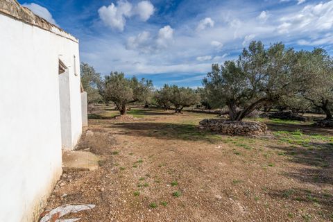 Finca i Roquetes, Tarragona, Roquetes - € 31.000 | Ref: 328 - foto 12