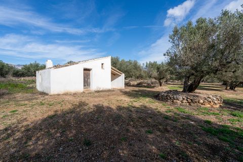 Finca i Roquetes, Tarragona, Roquetes - € 31.000 | Ref: 328 - foto 13