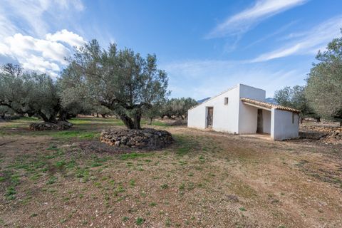 Finca i Roquetes, Tarragona, Roquetes - € 31.000 | Ref: 328 - foto 14