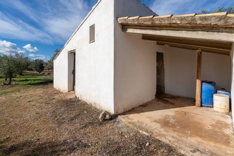 Finca i Roquetes, Tarragona, Roquetes - € 31.000 | Ref: 328 - foto 9