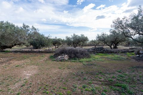 Finca i Roquetes, Tarragona, Roquetes - € 31.000 | Ref: 328 - foto 19