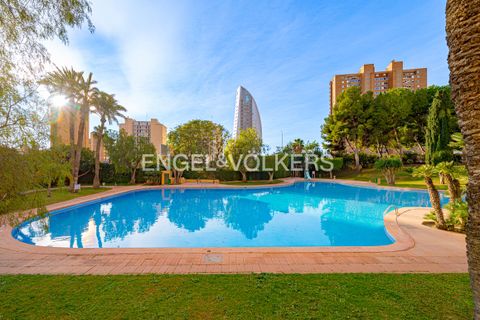 Apartament a Benidorm, Alicante, Benidorm - € 1.600/mes | Ref: W-048L2H - foto 33