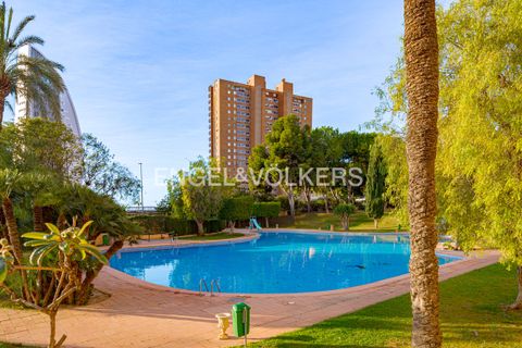 Apartament a Benidorm, Alicante, Benidorm - € 1.600/mes | Ref: W-048L2H - foto 31