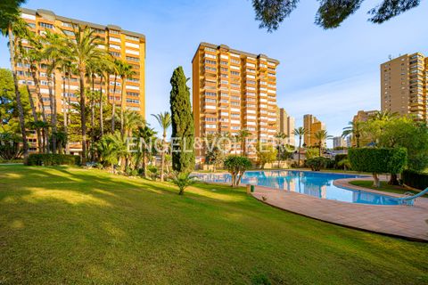 Apartament a Benidorm, Alicante, Benidorm - € 1.600/mes | Ref: W-048L2H - foto 30