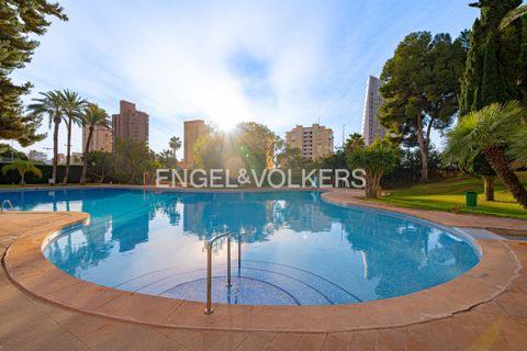 Apartament a Benidorm, Alicante, Benidorm - € 1.600/mes | Ref: W-048L2H - foto 32