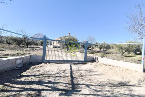 Villa i Velez-Blanco, Almeria, Velez-Blanco - € 218.000 | Ref: CRE-2654 - foto 26