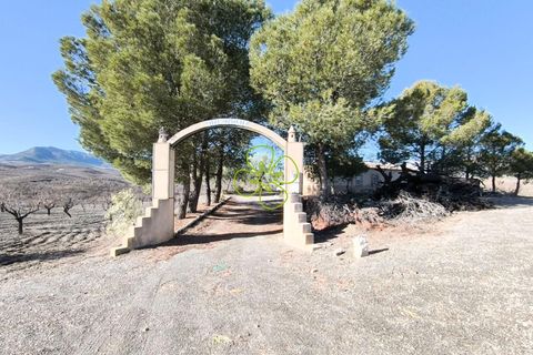 Villa i Velez-Rubio, Almeria, Velez-Rubio - € 170.000 | Ref: CRE-2645 - foto 2